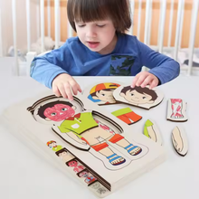 Cargar imagen en el visor de la galería, Rompecabeza de Capas Cuerpo Humano