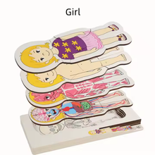 Cargar imagen en el visor de la galería, Rompecabeza de Capas Cuerpo Humano