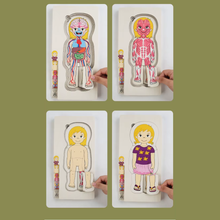 Cargar imagen en el visor de la galería, Rompecabeza de Capas Cuerpo Humano