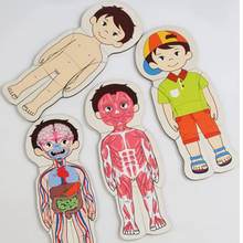 Cargar imagen en el visor de la galería, Rompecabeza de Capas Cuerpo Humano