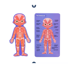 Cargar imagen en el visor de la galería, Rompecabeza de Cuerpo Humano Niño