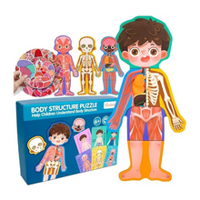 Cargar imagen en el visor de la galería, Rompecabeza de Cuerpo Humano Niño