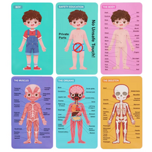Cargar imagen en el visor de la galería, Rompecabeza de Cuerpo Humano Niño