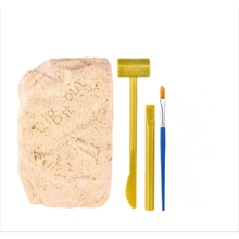 Cargar imagen en el visor de la galería, Set de Excavación Fósil de Dinosaurio