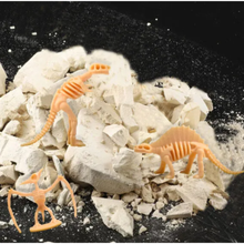 Cargar imagen en el visor de la galería, Set de Excavación Fósil de Dinosaurio