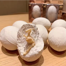 Cargar imagen en el visor de la galería, Huevo Fósil de Dinosaurio
