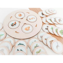 Cargar imagen en el visor de la galería, Tablero ciclo de la vida Montessori

